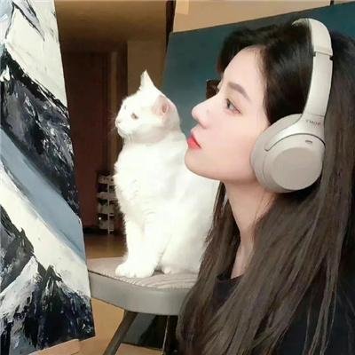 女神探宝盖丁